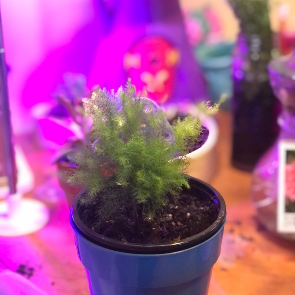 Meet your Posher, April - Picture 9 of 15